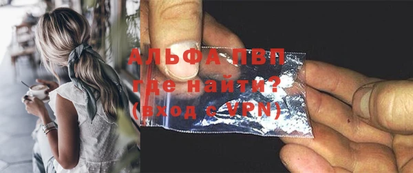 ПСИЛОЦИБИНОВЫЕ ГРИБЫ Белокуриха
