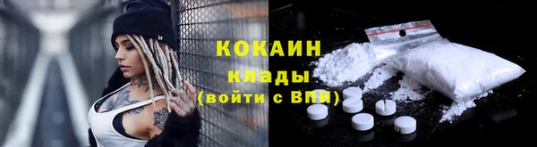 ПСИЛОЦИБИНОВЫЕ ГРИБЫ Белокуриха