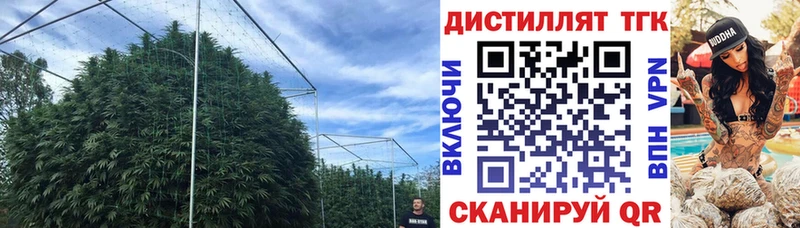 наркотики  Окуловка  ТГК THC oil 