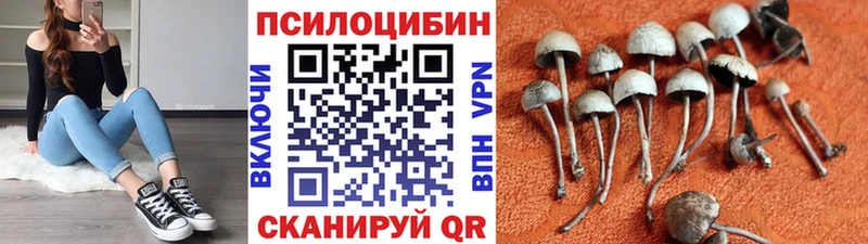 закладки  Окуловка  площадка телеграм  Галлюциногенные грибы Psilocybine cubensis 